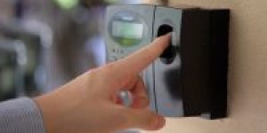 Reproducao-Sollus-Tecnologia-e1752758001804