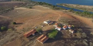 Reprodução/@acaodoanobrasil