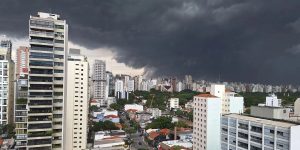 William Cardoso/ Metrópoles