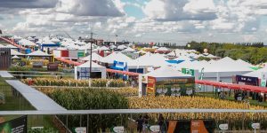 Roberto Dziura Jr/AEN