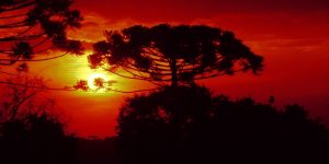 José Fernando Ogura/AEN