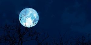 Superlua do Castor de 2025 iluminará o céu