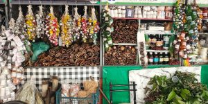 Legado da COP30 em Belém: Transformações e Oportunidades