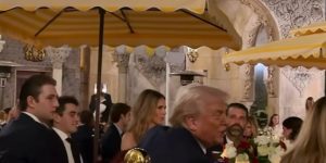 s/Octav Ganea via Reuters