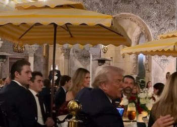 s/Octav Ganea via Reuters