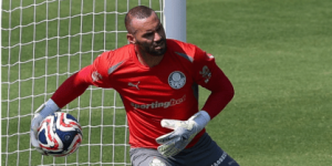 Cesar Greco / Palmeiras