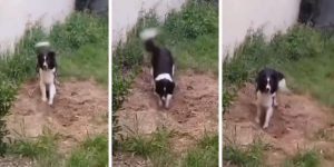 Reprodução: Redes Sociais