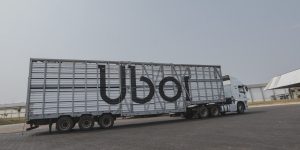 WhatsApp Image 2025-11-18 at 09.44.11