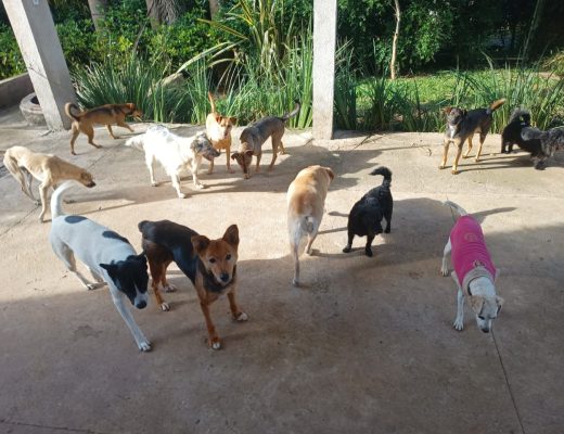 WhatsApp Image 2025-11-27 at 17.03.21