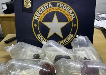 Receita Federal apreende corais do Pacífico no aeroporto de Fortaleza