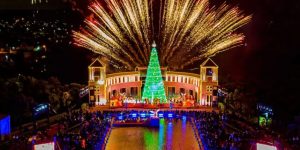 Foto: Daniel Castellano / SMCS.