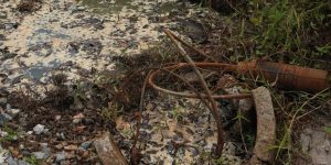 WhatsApp Image 2025-12-16 at 14.59.28