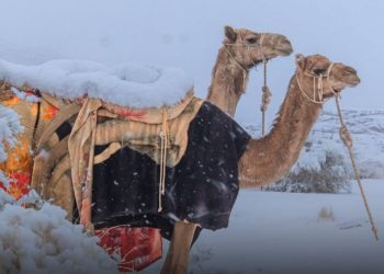 Neve surpreende Arábia Saudita com onda de frio intenso
