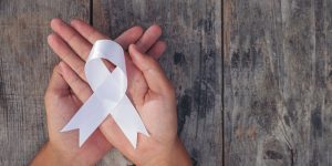 Foto: Divulgação..