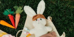 WhatsApp Image 2026-03-23 at 15.10.11