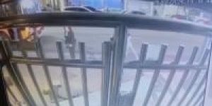 WhatsApp-Image-2026-08-26-at-12.54.42-PM