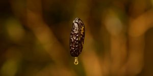 Divulgação: Natura.