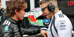 Antonelli Bono Brazil