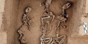 m colorida mostra restos de animais encontrados em sítio arqueológico na China - Metrópoles