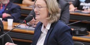 Deputadas integram comitê para monitorar pacto contra o feminicídio