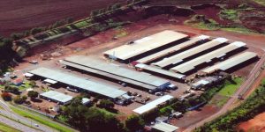 Foto: Governo do Paraná