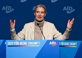 Delegação da extrema direita alemã se reúne com Trump nos EUA