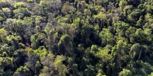 Denis Ferreira Netto/SEDEST