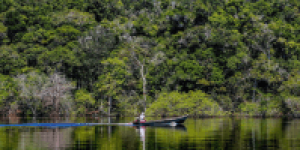 amazonia