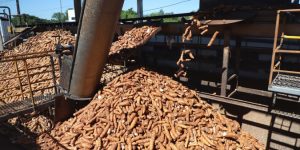 José Fernando Ogura/Arquivo AEN