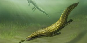 Fósseis de anfíbios gigantes revelam história antiga da Terra