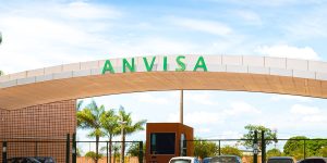 Rmcarvalho/Getty Images