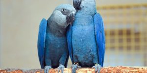 Patrick Pleul/picture alliance via Getty Images