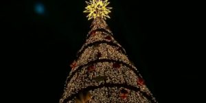 A estrela no topo, com mais de 4 metros de altura, é apenas um dos elementos que tornam a árvore do Parque Villa-Lobos um verdadeiro espetáculo