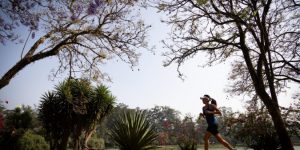 Divulgação/Governo de SP