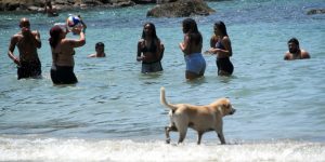 Onda de calor leva Inmet a alertar para riscos em oito estados