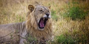 Bill D Bell / 500px / Getty Images