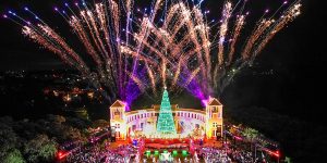 Parque Tanguá - Foto: Ricardo Marajó/SMCS.