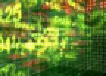 Investimentos de US$ 60 bilhões da Xcel Energy visam dobrar base até 2030