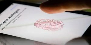 Cronograma da biometria obrigatória em benefícios sociais