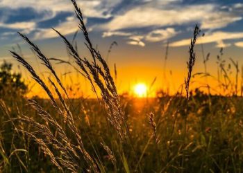 Foto: Governo do Paraná