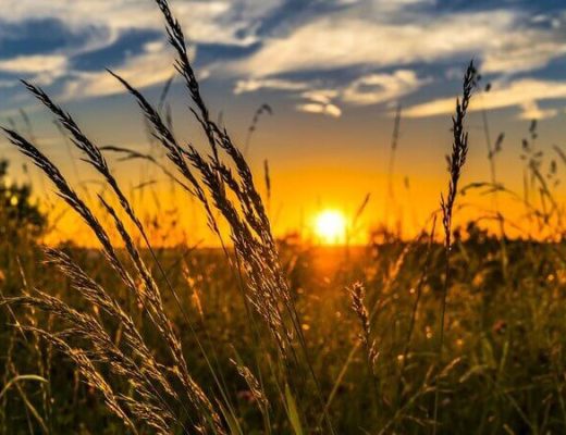 Foto: Governo do Paraná