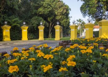bosque-portugal-1-1024x683-1