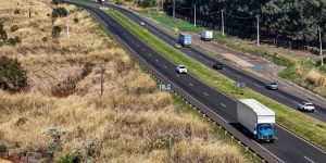 Roberto Dziura Jr/AEN