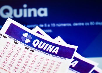 Quina sorteio 6849: veja os números do dia 10 de outubro