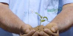 BrasilAgro reporta prejuízo de R$ 64 milhões no primeiro trimestre