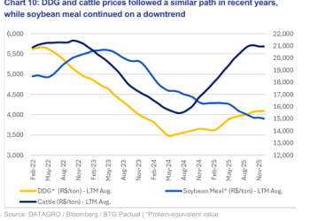 Como o ddg influencia os preços do gado e do farelo de soja