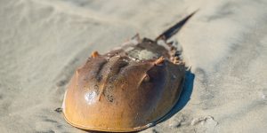 Heather Paul/Getty Images