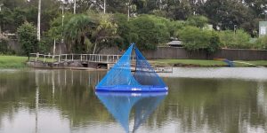 Foto: Governo do Paraná