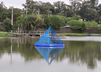 Foto: Governo do Paraná