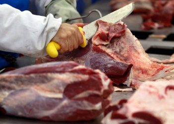 China enfrenta pressão interna e dificulta importação de carne bovina